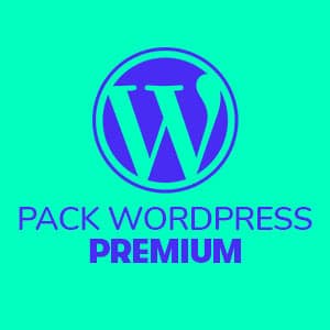 Site Vitrine Wordpress Premium